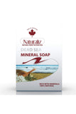 Naturaliz Mineral Soap 100 Gm