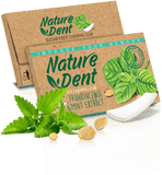 Nature Dent  Mint Gum 12.5Gm