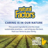 Natural Factors B12 Methylcobalamin 1000 mcg Chewable Tablets, 30 Tablets