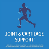 21St Century Arthriflex 120 Tablets